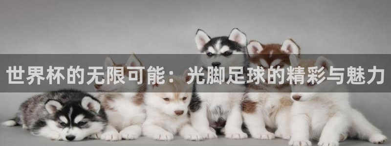 世预赛直播：世界杯的无限可能：光脚足球的精彩与魅力