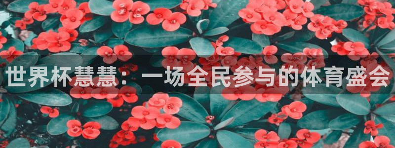 世界杯亚洲区预选赛：世界杯慧慧：一场全民参与的体育盛会