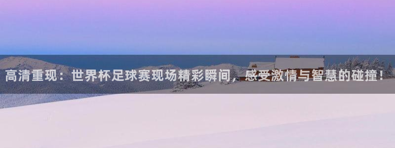 2026葡萄牙杯赛程表：高清重现：世界杯足球赛现场精彩瞬间，感受激情与智慧的碰撞！