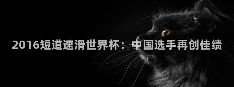 2026年世界杯直播平台：2016短道速滑世界杯：中国选手再创佳绩
