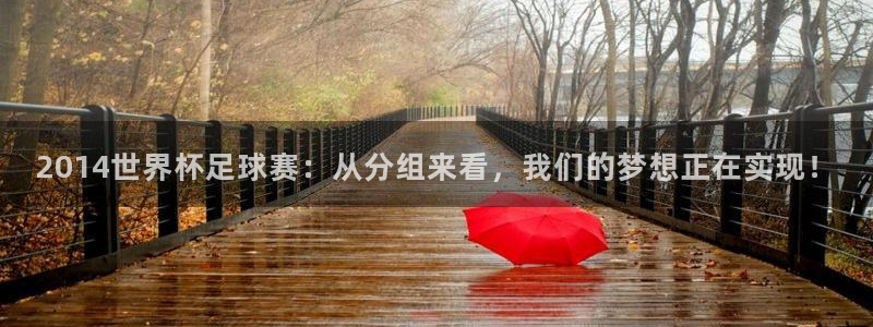 世界杯欧洲区世预赛赛程：2014世界杯足球赛：从分组来看，我们的梦想正在实现！