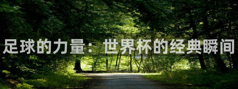 世界杯预选赛赛程时间表：足球的力量：世界杯的经典瞬间