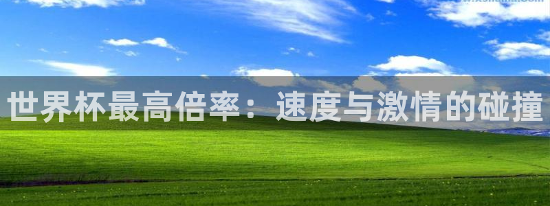 2026世界杯买球：世界杯最高倍率：速度与激情的碰撞
