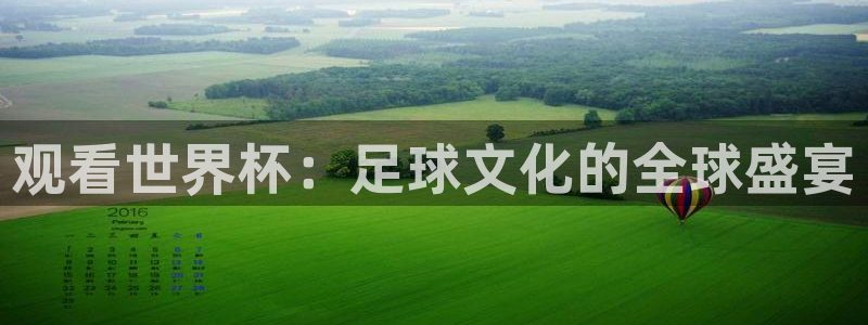 免费看足球直播比赛：观看世界杯：足球文化的全球盛宴