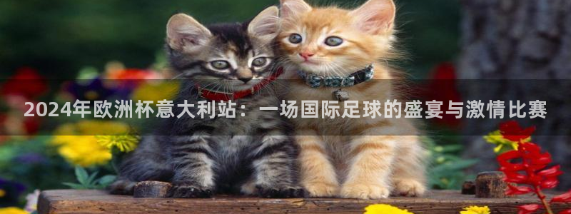 2026世界杯预选赛：2024年欧洲杯意大利站：一场国际足球的盛宴与激情比赛