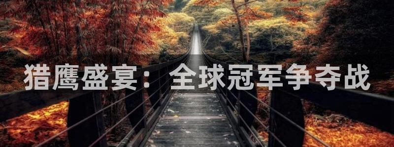 世界杯2026预选赛：猎鹰盛宴：全球冠军争夺战