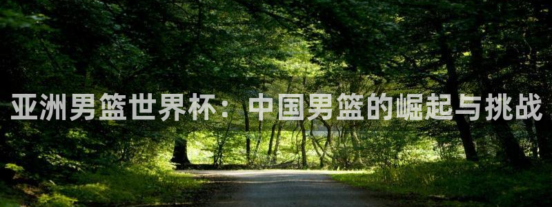 世俱杯直播：亚洲男篮世界杯：中国男篮的崛起与挑战