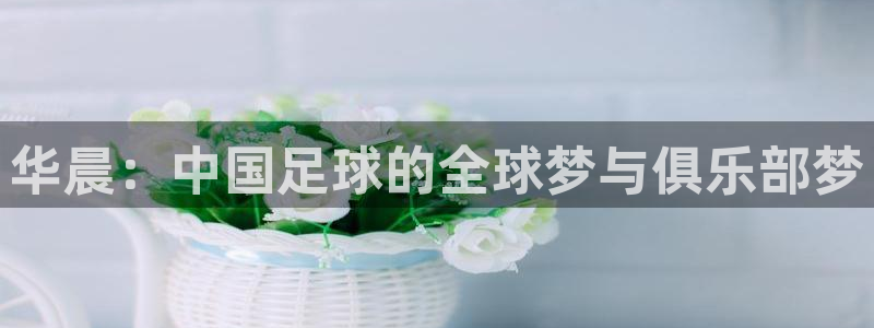 世界杯预赛赛程：华晨：中国足球的全球梦与俱乐部梦