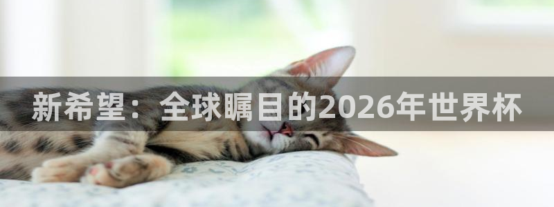 预选赛世界杯：新希望：全球瞩目的2026年世界杯