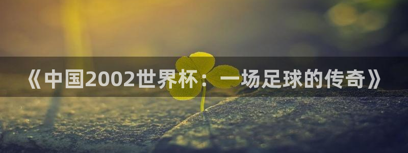 世界杯官网入口：《中国2002世界杯：一场足球的传奇》