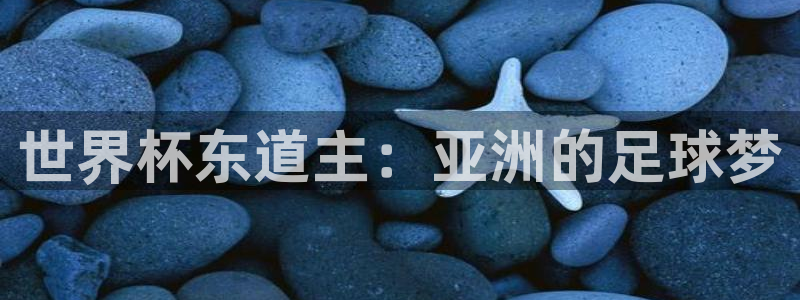 世界杯预选赛赛程：世界杯东道主：亚洲的足球梦