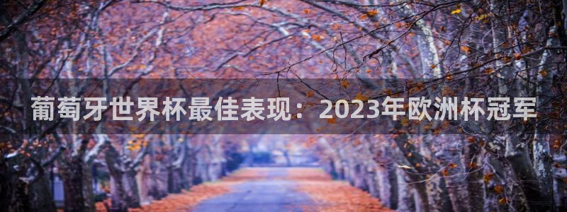 2026世预赛赛程表：葡萄牙世界杯最佳表现：2023年欧洲杯冠军