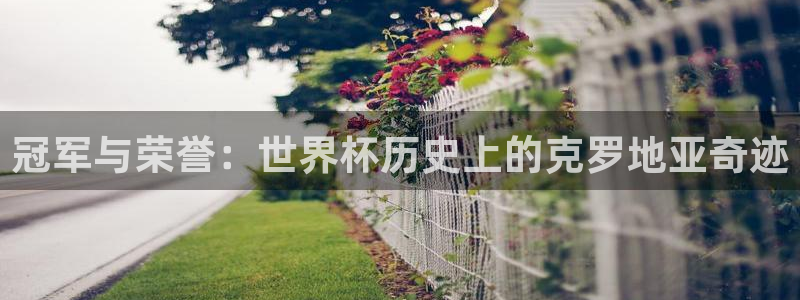世界杯决赛圈球队：冠军与荣誉：世界杯历史上的克罗地亚奇迹